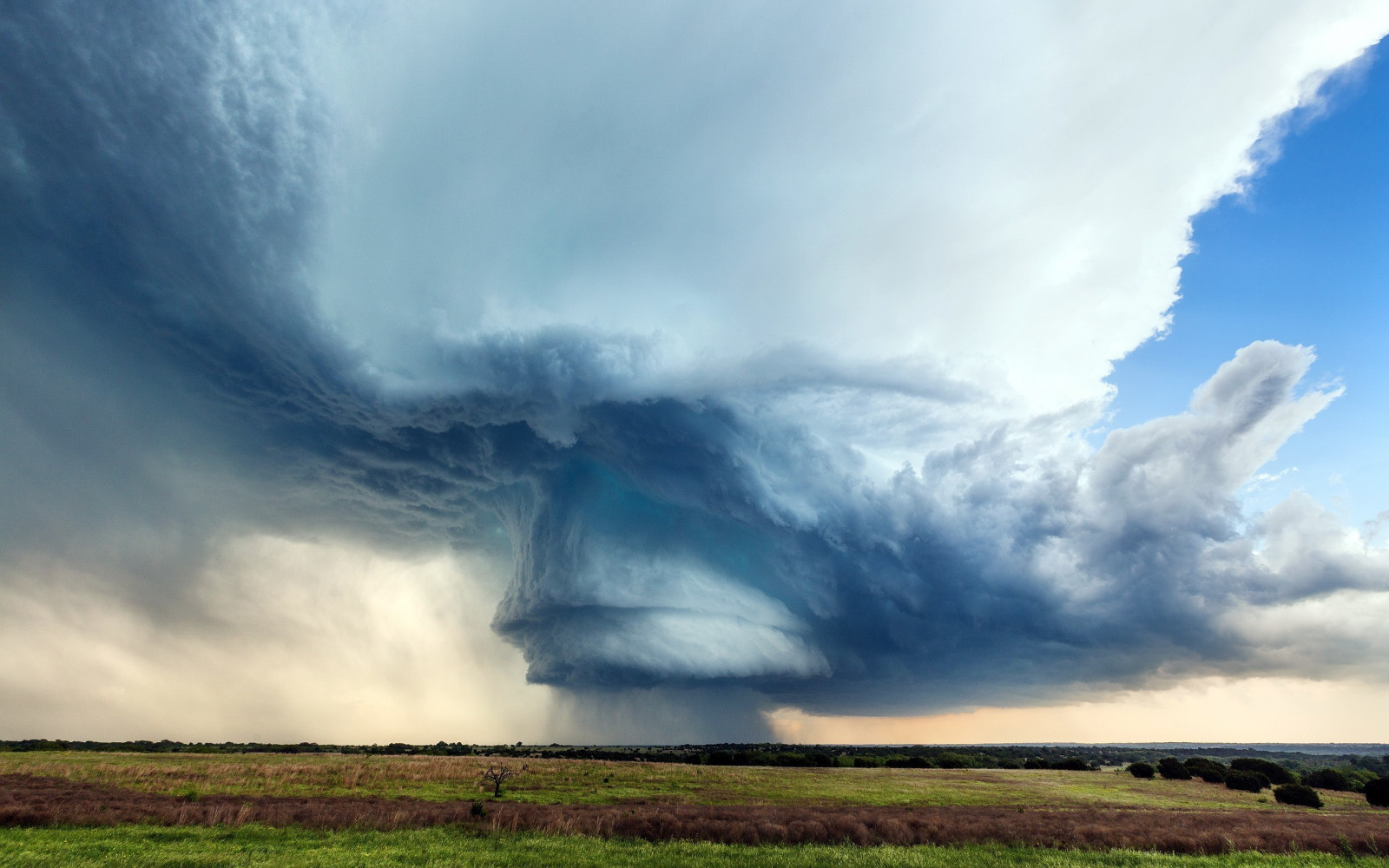 krajina, Příroda, nebe, pole, mraky, bouřka, vítr, horizont, atmosféra, mrak, počasí, lučina, bouřka, prostý, 2560x1600 px, prérie, atmosférický jev, meteorologický jev, kupa