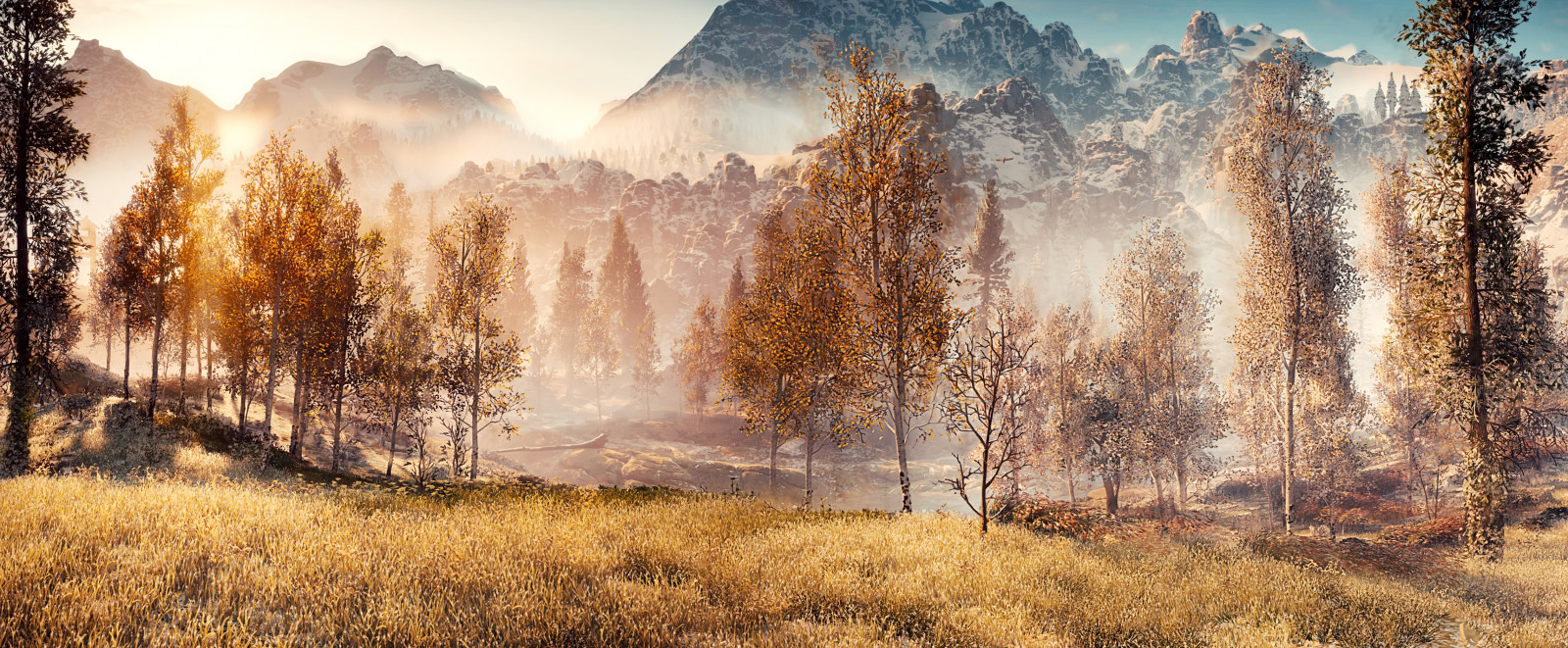 slunečnímu záření, krajina, les, Příroda, tráva, nebe, zima, větev, ráno, horizont, atmosféra, národní park, divočina, Nula, strom, hora, svítání, zálesí, počítač tapeta, mírné jehličnatý les, tráva rodina, PS4