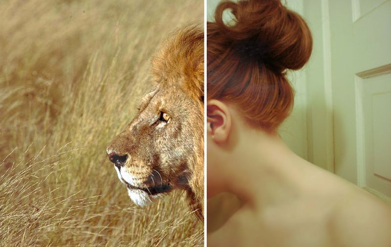 Červené,dívka,vlasy,citát,lev,Churchill