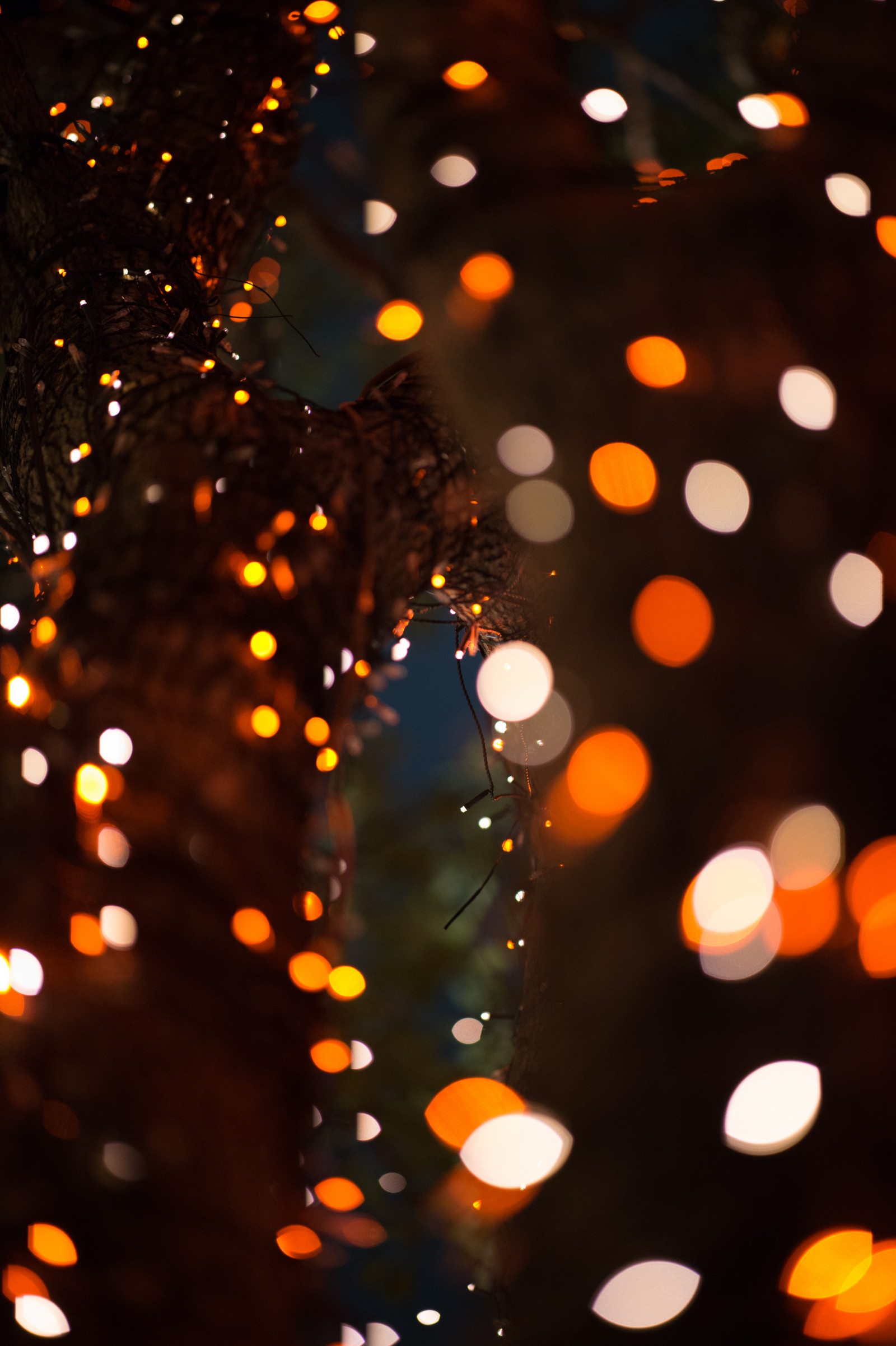 Japonsko, noc, Vánoční strom, kruh, Nikon, Vánoce, Dovolená, Vánoční osvětlení, Tokio, jp, světlo, barva, NIKKOR, osvětlení, afs105mmf14eed, afsnikkor105mmf14eed, df, Roppongi, roppongihills, keyakizaka, vánoční dekorace