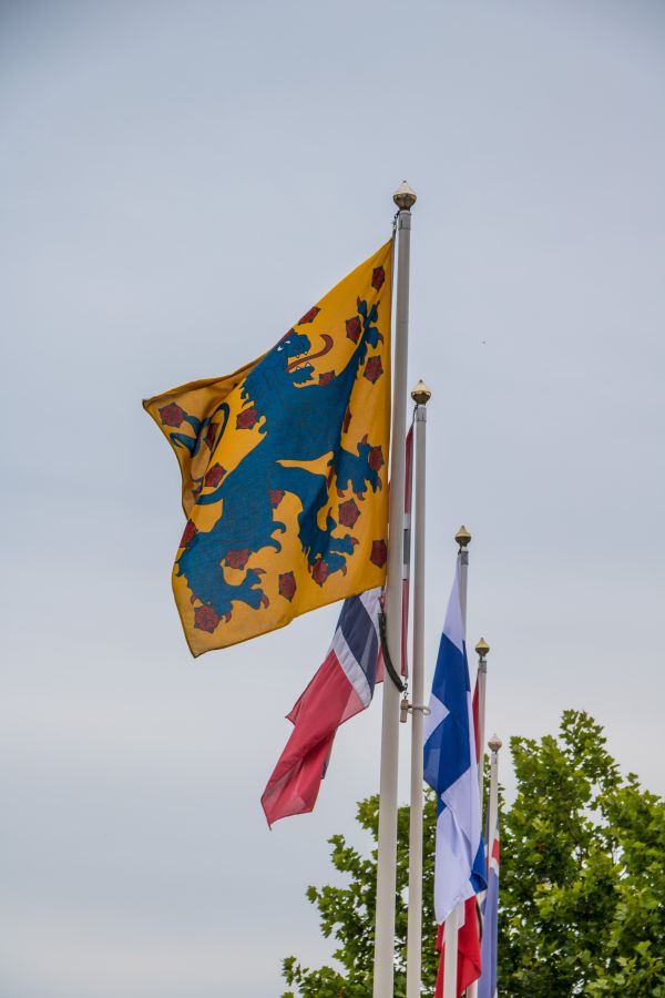 blue,flag,Scania,sk ne,flagga,ystad
