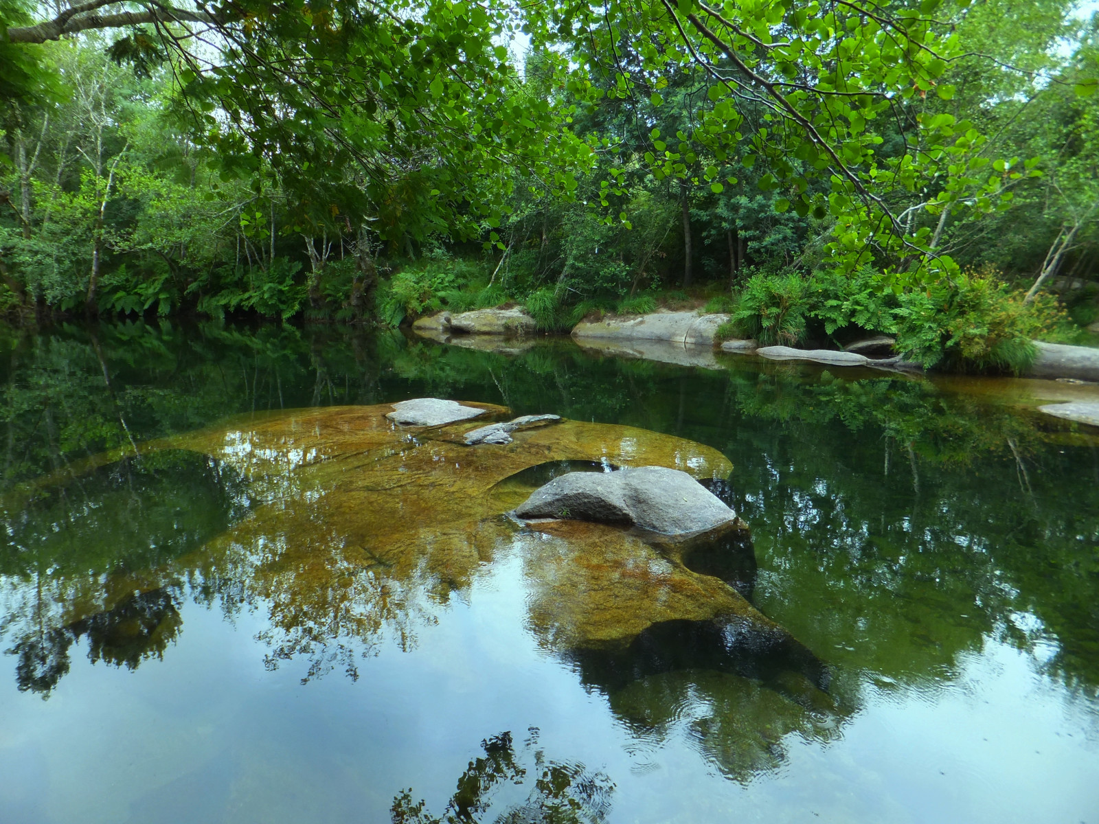 voda, odraz, Příroda, tělo z vody, přírodní rezervace, vegetace, vodní zdroje, zátoka, vodní tok, mokřadní, proud, riparian zone, řeka, rybník, banka, strom, bažina, lužní les, list, bayou, rostlina, biome, prales, krajina, džungle, les, deštný prales, tráva, rybník, lužní, přítok, vodní prvek, fluvial landforms of streams, zálesí