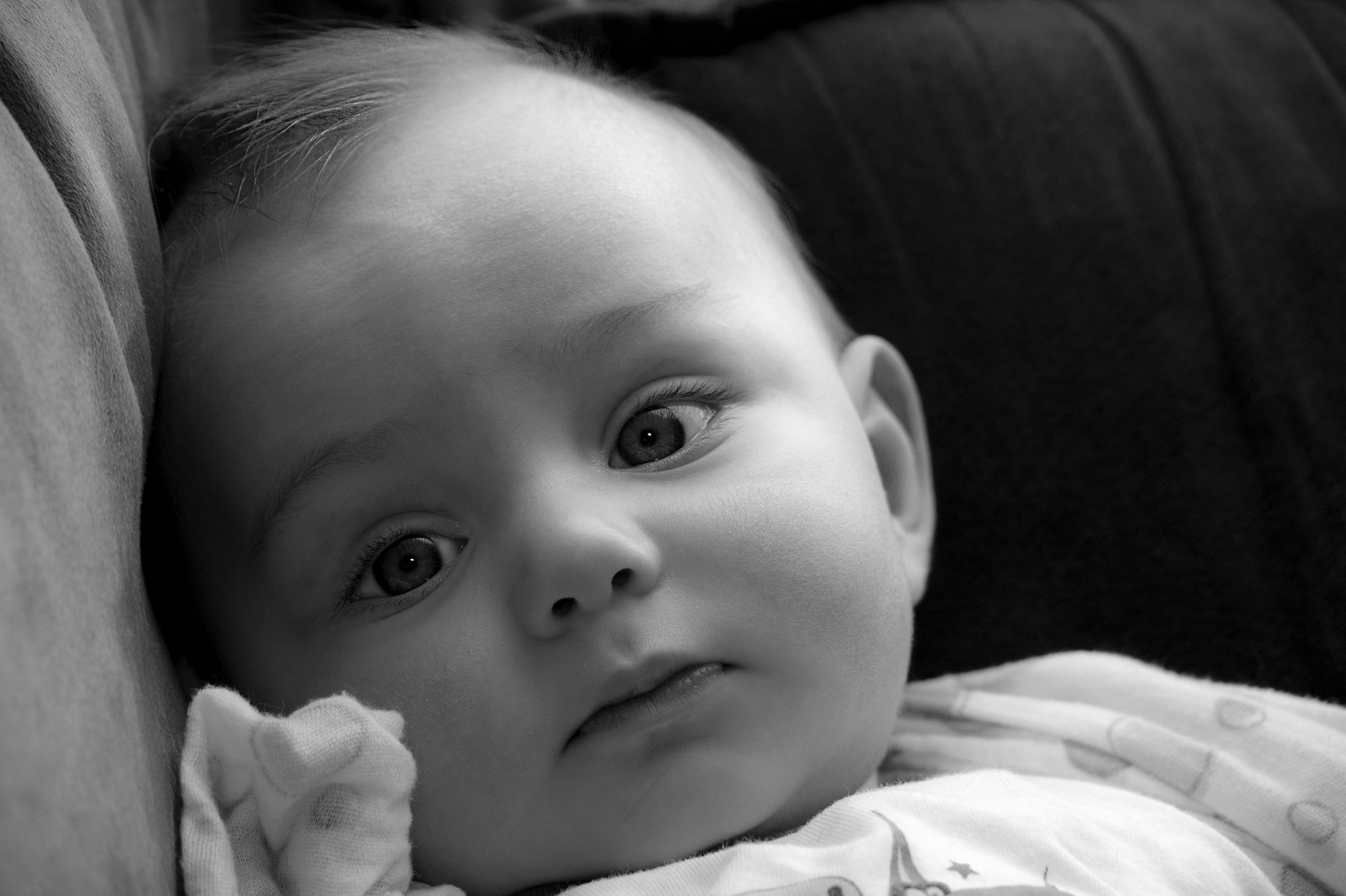 tvář, bílý, Černá, černobílý, portrét, oči, milovat, fotografování, Kánon, dítě, Radost, pusa, nos, emoce, Osoba, kůže, klidný, hlava, rodina, Mládí, světlo, Krásná, chlapec, dítě, dosti, roztomilý, sestra, bratr, dívka, krása, tělesné, usměj se, oko, zábava, hledá, sladký, člověk, Chytrý, upřený pohled, ret, BNW, perfektní, syn, nevinný, tvář, Černý a bílý, monochromatické fotografování, portrétní fotografie, obočí, orgán, zblízka, batole, nemluvně, dcera, čelo, ohleduplný