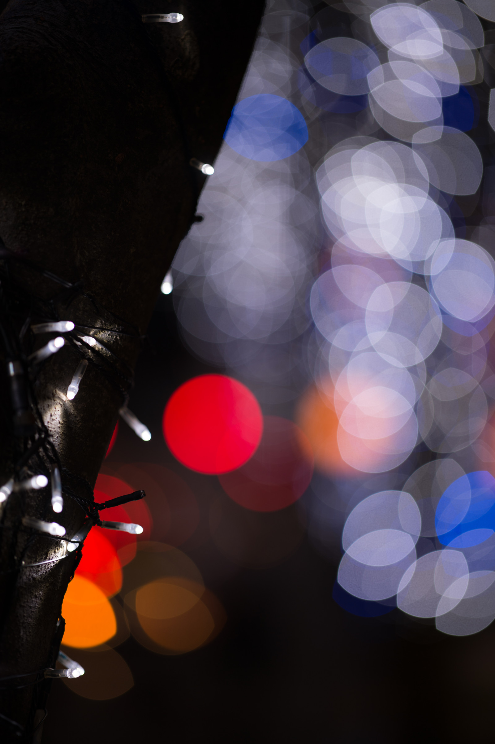 Giappone, bianca, notte, riflessione, blu, bicchiere, cerchio, Nikon, Tokyo, Jp, leggero, colore, NIKKOR, illuminazione, forma, afs105mmf14eed, afsnikkor105mmf14eed, df, roppongi, Roppongi Hills, Keyakizaka, fotografia macro