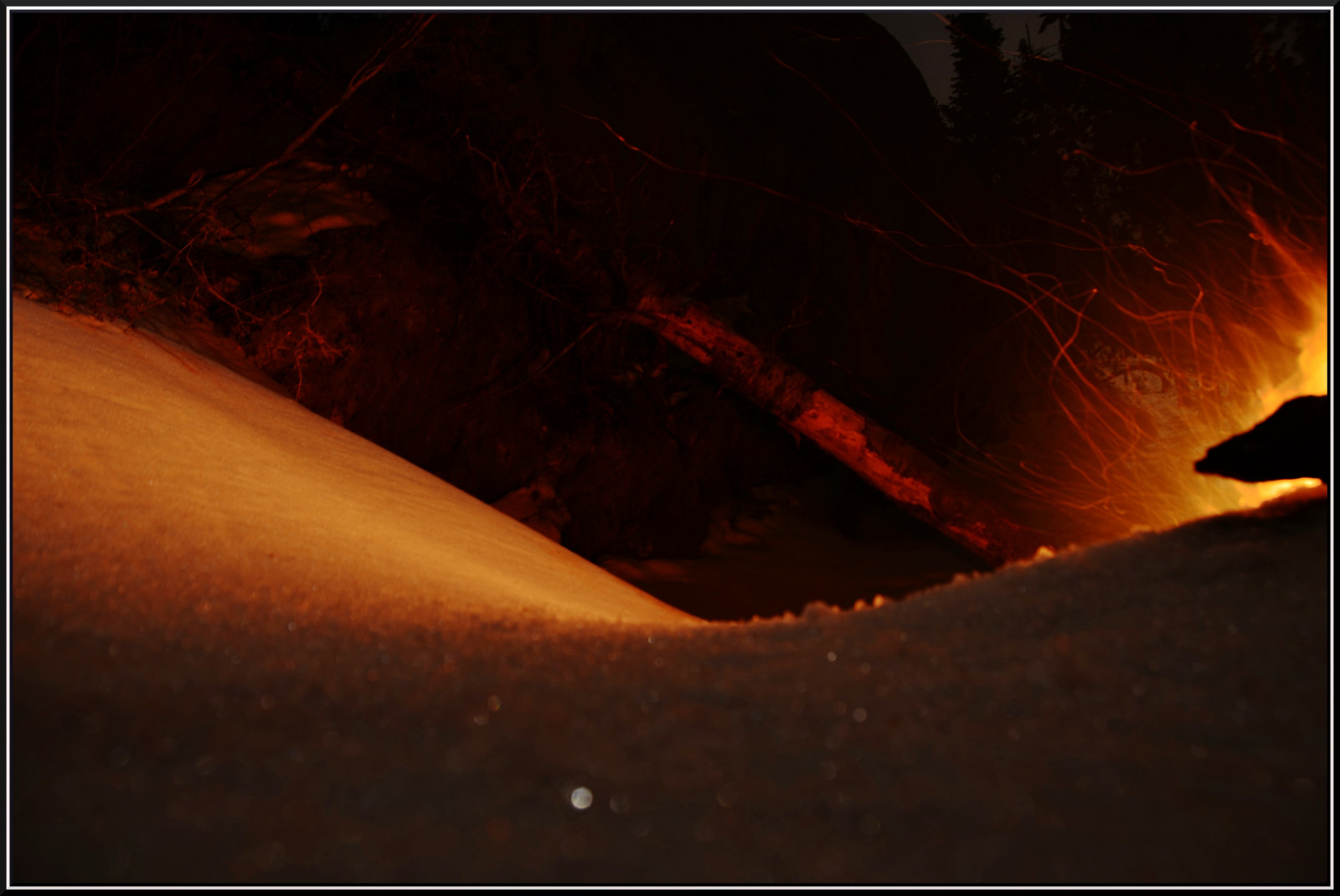 selvaggio, America, fuoco, Nikon, Nevada, GIMP, maestoso, qualsiasi cosa, 702, fotocompetition, fotocompetitionbronze