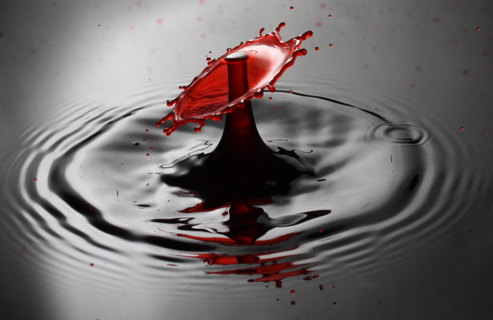 blu, leggero, fiore, colore, macro, verde, acqua, velocità, latte, goccioline, alto, ondulazione, aria, Veloce, far cadere, raddoppiare, Rifrazione, bolla, gocciolina, spruzzo, colorante, medio, entrare in collisione, collisione, Glicerina, Doubledrops