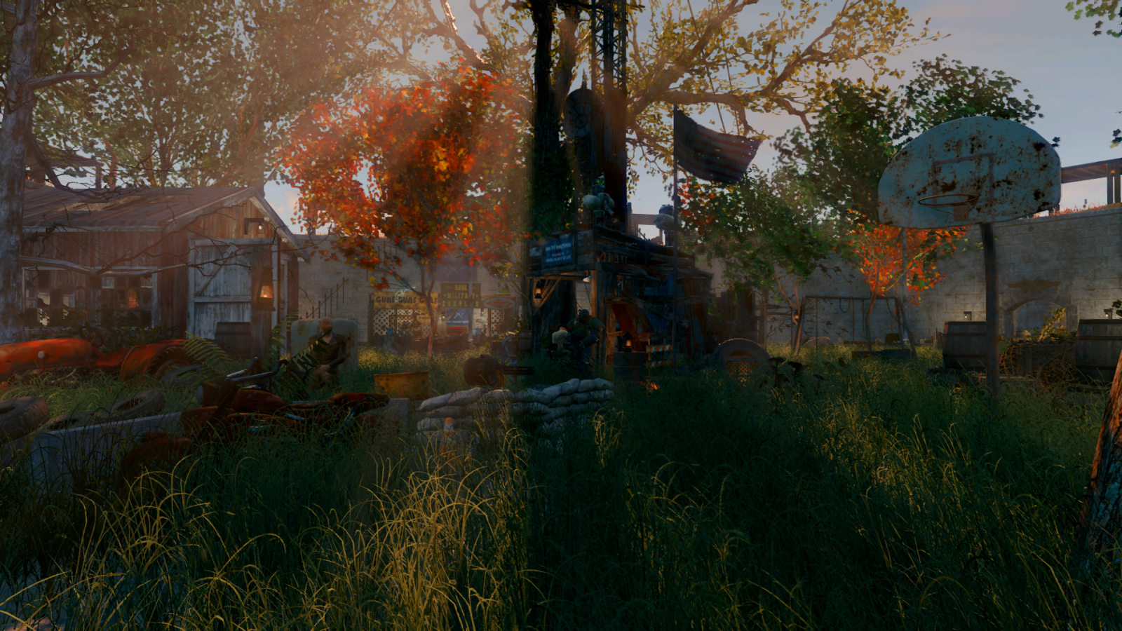 luce del sole, foresta, sera, mattina, Fallout 4, Xbox One, albero, autunno, foglia, fiore, stagione, immagine dello schermo, area rurale, area urbana