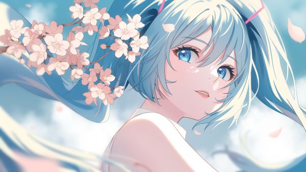 Vocaloid China,Hatsune Miku