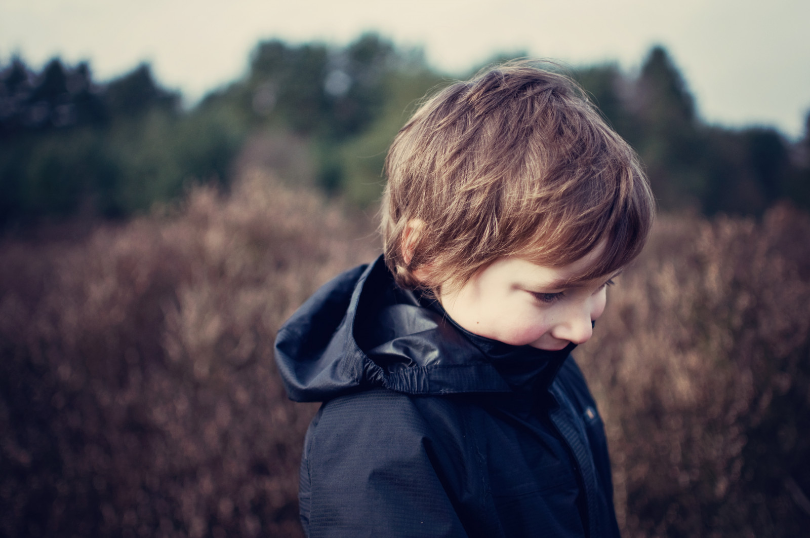 stromy, 35MM, venkov, Nikon, Drsný, Procházka, pustošit, Vřesoviště, NIKKOR