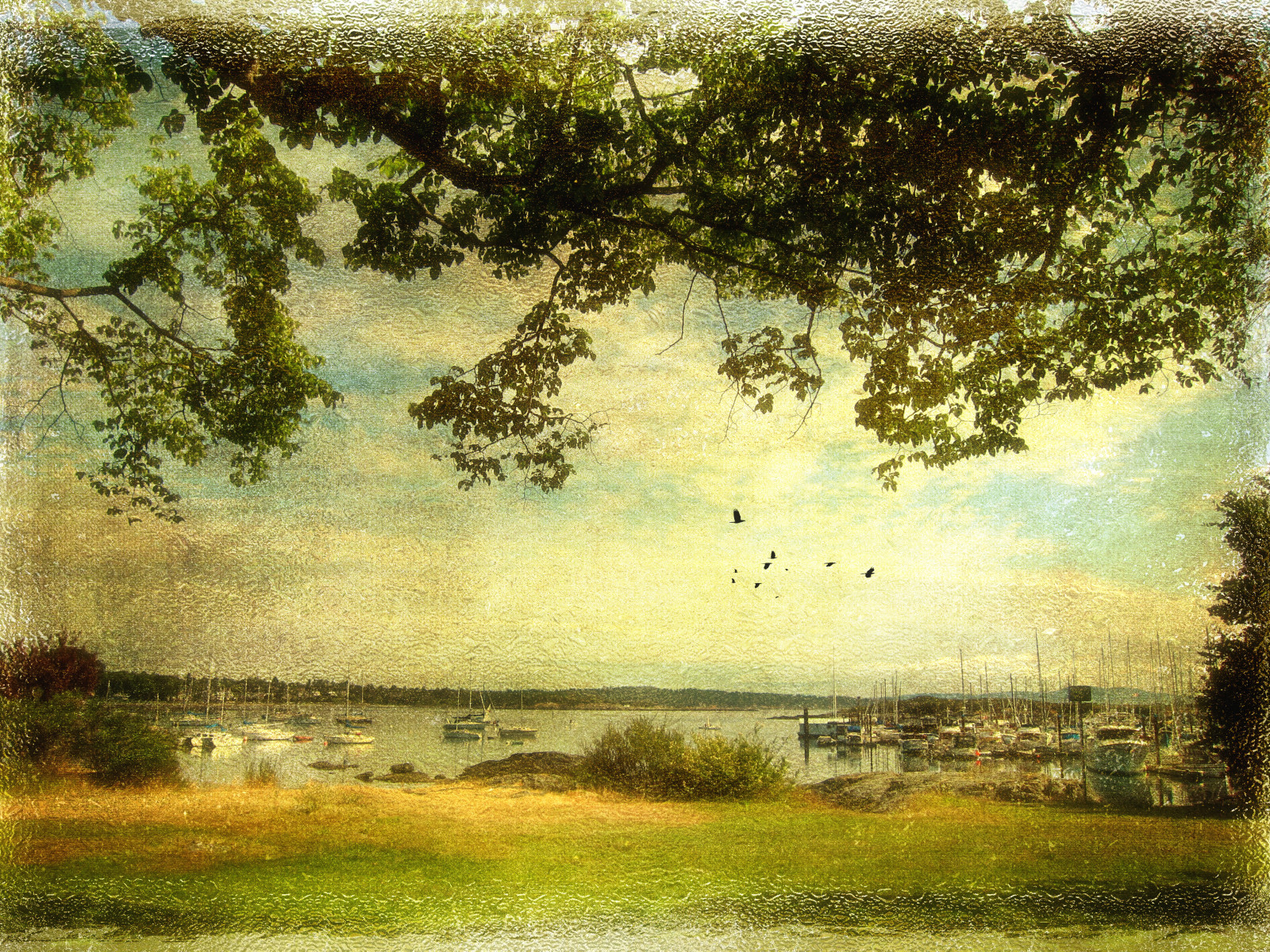 malování, les, moře, záliv, ráno, bažina, mokřadní, strom, přístav, louka, prostý, magicunicornverybest, bayou, magicunicornmasterpiece, zálesí, tatot, bažina, zedzap, venkov, místo výskytu, přírodní prostředí, atmosférický jev, ekosystém, savana, akvarel barvy, motat, oakbay