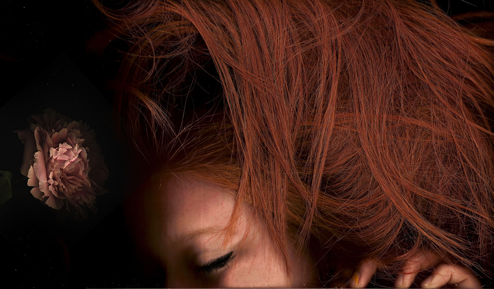 tvář, Černá, model, portrét, dlouhé vlasy, Červené, oranžový, růže, vlasy, hlava, barva, květ, dívka, krása, oko, ruka, cars, rojo, černoch, mano, tma, rosa, pelo, účes, naranja, flor, hnědé vlasy, ucho, Lidské tělo, orgán, zblízka, zázvor, ojo, skener