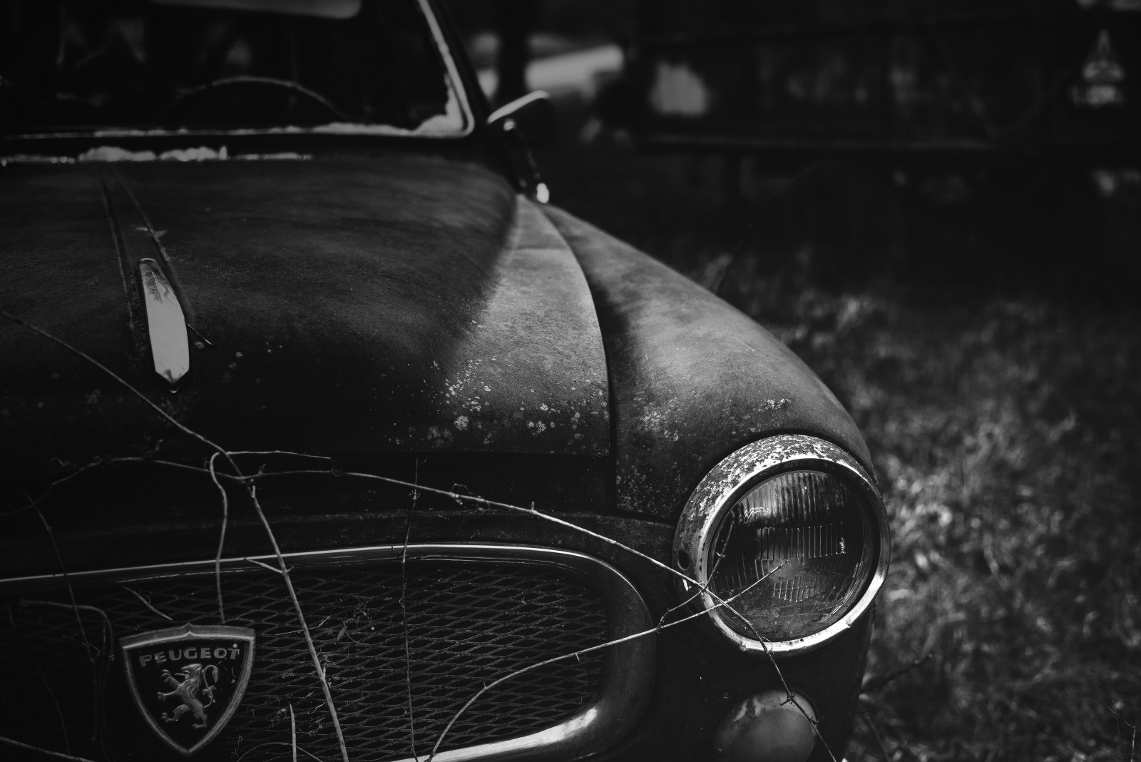Černá, černobílý, auto, vozidlo, fotografování, kapuce, Nikon, veteránem, voiture, peugeot, D750, NIKKOR, tělesné, kolo, opustit, tma, klasický, noiretblanc, contraste, nb, momentka, nikkorlens, 403, ancienne, počítač tapeta, Černý a bílý, monochromatické fotografování, automobilového designu, automobilový exteriér, kompaktní vůz, motorové vozidlo, zátiší fotografování, světlomet, EPAVE, coeuruyann, automotive Lighting, Ronce, automotive wheel system