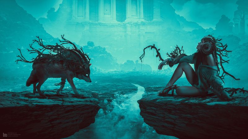 ženy, fantasy umění, rostliny, modrý, vlk, ilustrace ženy, fantasy umění, rostliny, modrý, vlk, ilustrace