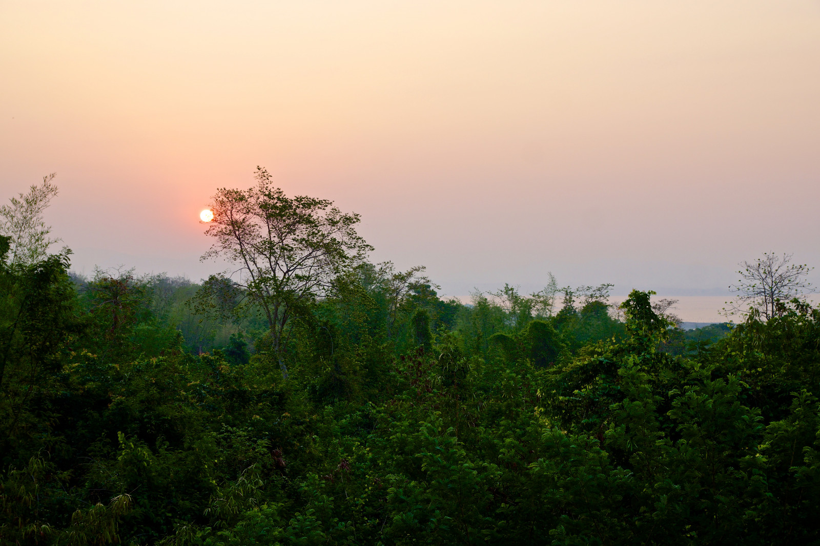 himmel, vegetation, daggry, morgen, træ, ødemark, solopgang, aften, atmosfære, blad, sollys, Skov, solnedgang, horisont, landdistrikt, landskab, græs, Nationalpark, skumring, Sol, shrubland, tåge, efterglød, bakke, eng, savanne, Mark
