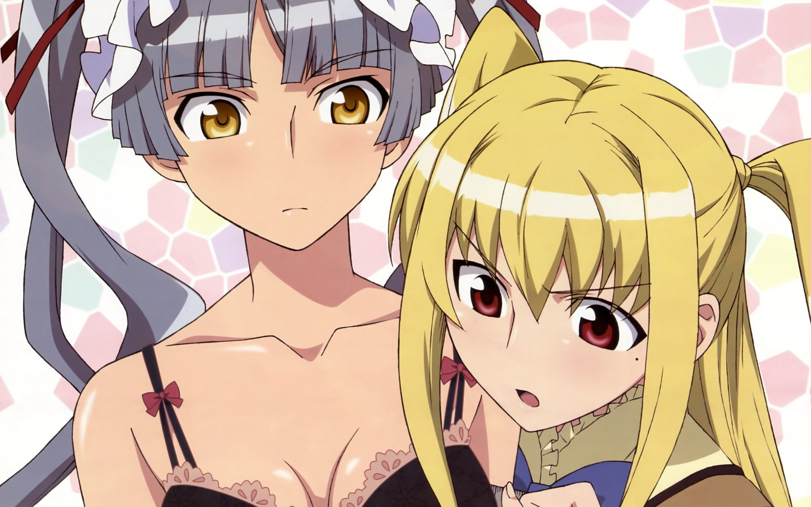 ilustrace, anime, umělecká díla, kreslená pohádka, Maria Holic, dívka, držení, dívej se, mangaka, shinouji matsurika