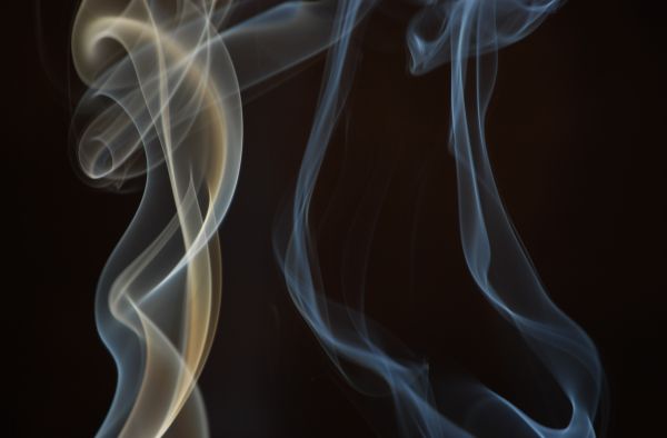 computer wallpaper,organism,darkness,cg artwork,smoke,joint