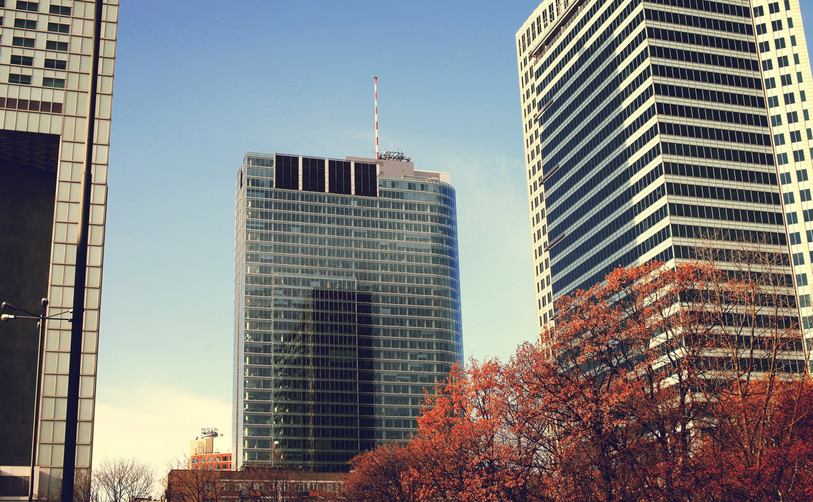 stromy, podzim, město, panoráma města, architektura, městský, budova, fotografování, panoráma, mrakodrap, věž, metropole, centrum, kondominium, mezník, fasáda, urban area, Metropolitní oblast, lidské osídlení, sousedství, obytný prostor, panelový dům