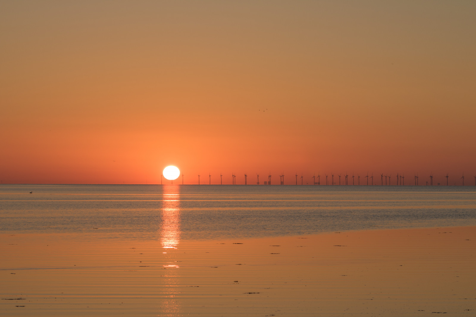 luce del sole, tramonto, mare, acqua, riflessione, spiaggia, Alba, sera, mattina, costa, Sole, orizzonte, crepuscolo, Sol, alba, oceano, bagliore, onda, solnedg ng, vatten, HAV, kust, modello canoneos760d exif, geocountry, Marca fotocamera Canon, Geocity, modello di fotocamera canoneos760d, geostate, geolocalizzazione, exif fare canon, exif ISOSPEED 100, apertura exif 71, ef70300mmf456lisusm lente exif, Falsterbro, exif focalLength 83 millimetri, fenomeno atmosferico, ultimi bagliori