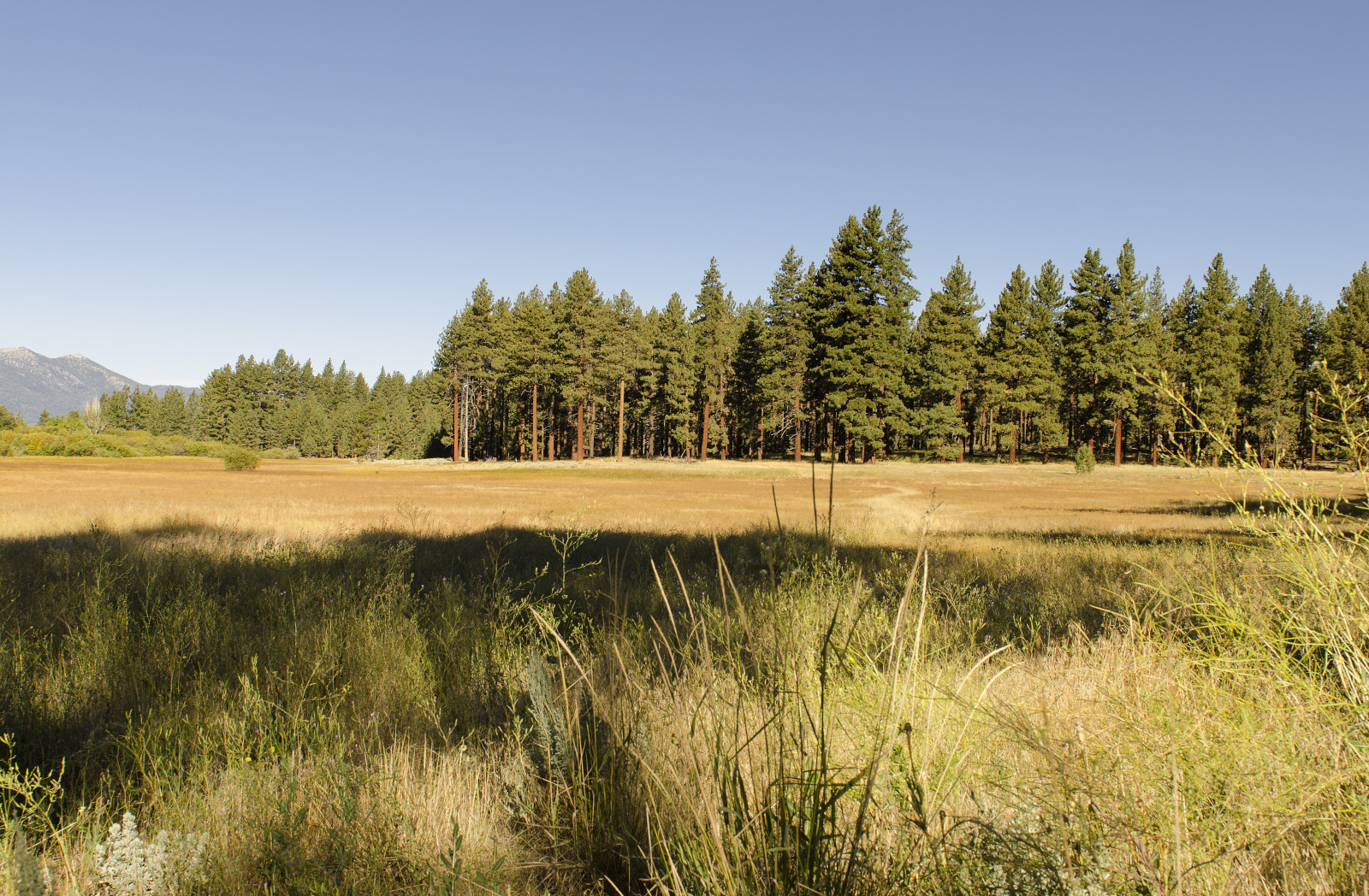 Kalifornie, letní, nebe, Spojené státy americké, hora, jezero, hory, západ, venku, nás, vysoký, den, turistika, Nevada, prohlížení památek, louka, tahoe, klidný, Slunný, turista, túra, sierra, Průhledná, západní, klidný, Stateline, Blud