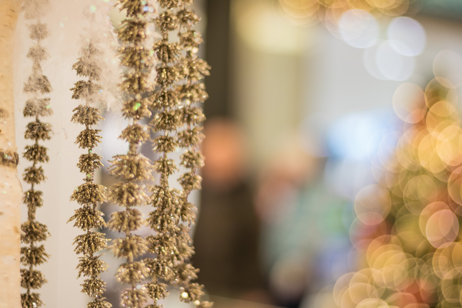 šaty, žlutý, Německo, Vánoce, Vzhled interiéru, jaro, květ, Vánoce, osvětlení, vánoční strom, julgran, vánoční trh, července, Německo, deutschland, Rostock, julmarknad, exif modelu canoneos760d, geocountry, Kamera aby kánon, geocity, Model fotoaparátu canoneos760d, geostate, geolocation, exif aby kánon, EXIF isospeed 320, exif focallength 50mm, EXIF ef50mmf18stm čočka, EXIF otvor 20, weinachtsmarkt, talár, vánoční dekorace, floristika, kytice, aranžování květin, květinový vzor