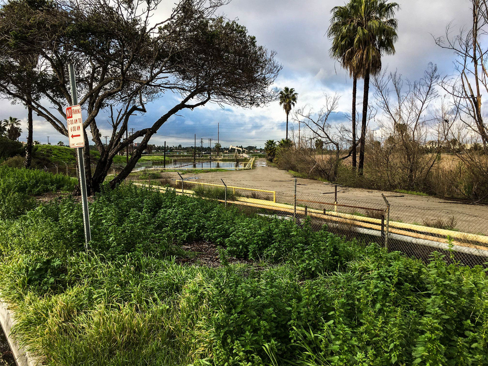 stromy, krajina, zahrada, voda, Příroda, městský, tráva, nebe, pole, mraky, zelená, žlutý, modrý, Kalifornie, plot, iPhone, Křoví, cesta, lodičky, chodník, strom, rostlina, palmy, stezka, vegetace, olej, project365, rekreace, dlouhá pláž, řetěz, venkov, keř, odc, tráva rodina, nemovitost, pozemek pozemek, hggt, mokřady, htmt, Pozemní uzemnění