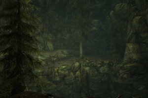 forest6video games6The Elder Scrolls V Skyrim6wilderness6jungle6swamp6rainforest6wetland6Terrain6screenshot6woodland6habitat6natural environment6atmospheric phenomenon6geographical feature6ecosystem6biome6sunlight6darkness6computer wallpaper6old growth forest