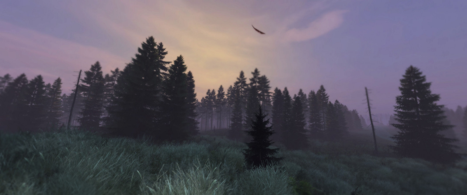 Sky, himmel, anlegg, atmosfære, naturlige omgivelser, tre, Natural landscape, skumring, atmosfærisk fenomen, Evergreen, tre, lerk, gress, landskap, Grovfôr, horisont, soloppgang, eng, skog, solnedgang, spruce fir forest, vinge, cumulus, soloppgang, prærie, tåke, mørke, etterglød, høyde, nåletre, meteorologisk fenomen, kveld, tåke, tåke, felt, vei, skog, vinter, tropical and subtropical coniferous forests, temperert lauvskog, dyreliv, temperert barskog, Northern hardwood forest, natt, gammel skog, gran, furu, insekt, vind, furu familie, rød himmel om morgenen, beitemark