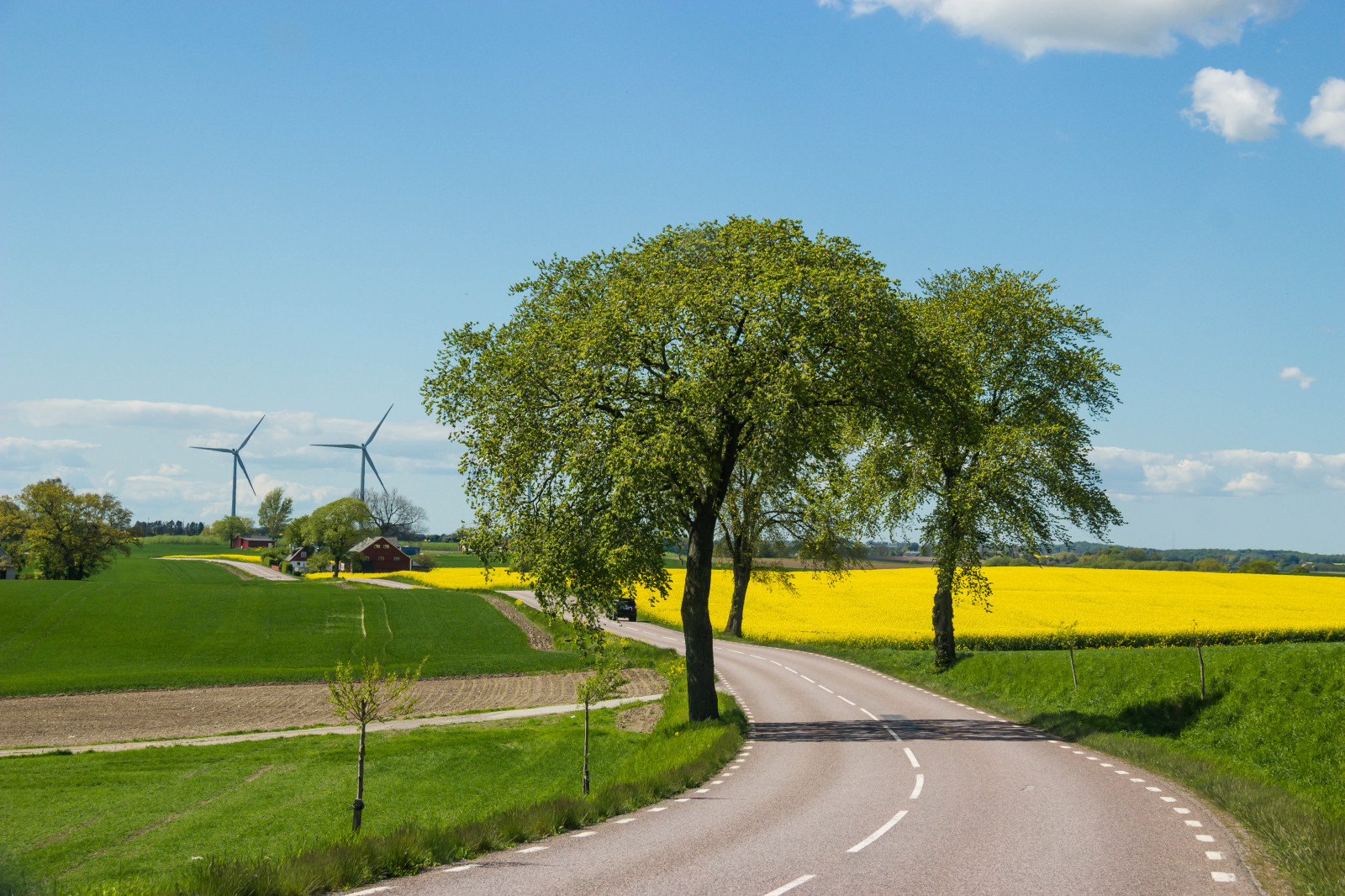 landskab, bakke, græs, himmel, Mark, vej, gård, horisont, hovedvej, struktur, infrastruktur, Sky, træ, plante, himmel, sk ne, landskabet, Moln, rapper, f lt, landskap, raps, rapefield, VAG, landbrug, eng, almindeligt, landdistrikt, vedplante, sport mødested