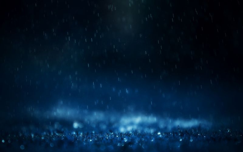 1920x1200 px, regen, bladeren, macro, natuur
