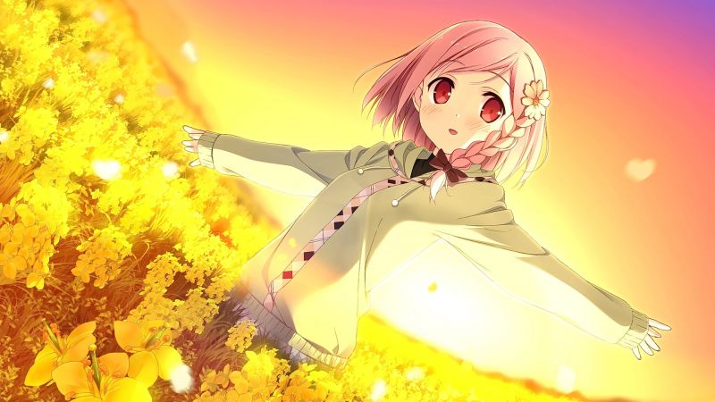 anime dívky, ilustrace, západ slunce, květiny, anime, krátké vlasy anime dívky, ilustrace, západ slunce, květiny, anime, krátké vlasy
