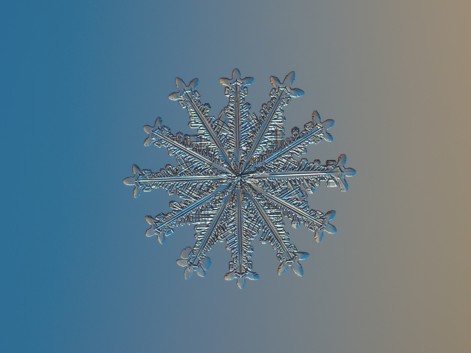 astratto, acqua, cielo, la neve, inverno, avvicinamento, macro, simmetria, tempesta, blu, segno, ghiaccio, freddo, brina, esagono, modello, cristallo, Natale, brillante, luminosa, microscopico, nuovo anno, ornamento, luccichio, dettagliato, unico, struttura, minuscolo, Nord, dettagli, fiocco di neve, isolato, Ornato, leggero, bellissimo, bene, tempo metereologico, all'aperto, bellezza, stagione, naturale, foto, sfondo, illuminazione, decorazione, piccolo, forma, stella, design, chiaro, ghiacciato, gelido, trasparente, elegante, simbolo, arredamento, vero, di stagione, scintillare, fragilità, Ingrandito, congelare, sfondo del computer, fiocco, fragile, decorato, CHDK, kljatov, chaoticmind75, esagonale, alexeykljatov, Volumetrico