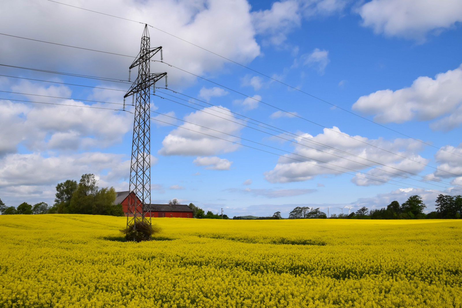 แนวนอน, อาหาร, ธรรมชาติ, หญ้า, ท้องฟ้า, ฟิลด์, บ้าน, สีเหลือง, ฟาร์ม, ขอบฟ้า, สวีเดน, สายไฟ, Sverige, Rapeseed, ดอกไม้, ทุ่งหญ้า, ปลูก, กลางแจ้ง, sk nel n, se, himmel, sk ne, ชนบท, ลินคอล์น, landsbygd, ข่มขืน, ถนน, brassicanapus, spannm l, electriccabels, คาโนลา, เกษตรกรรม, ทุ่งหญ้า, ที่ราบ, ทุ่งหญ้า, พืช, เขตชนบท, ผลิต, โรงงานที่ดิน, พืชดอก, ครอบครัวหญ้า, ผัก, Braseriaica, โรงงานมัสตาร์ด, มัสตาร์ดและครอบครัวกะหล่ำปลี