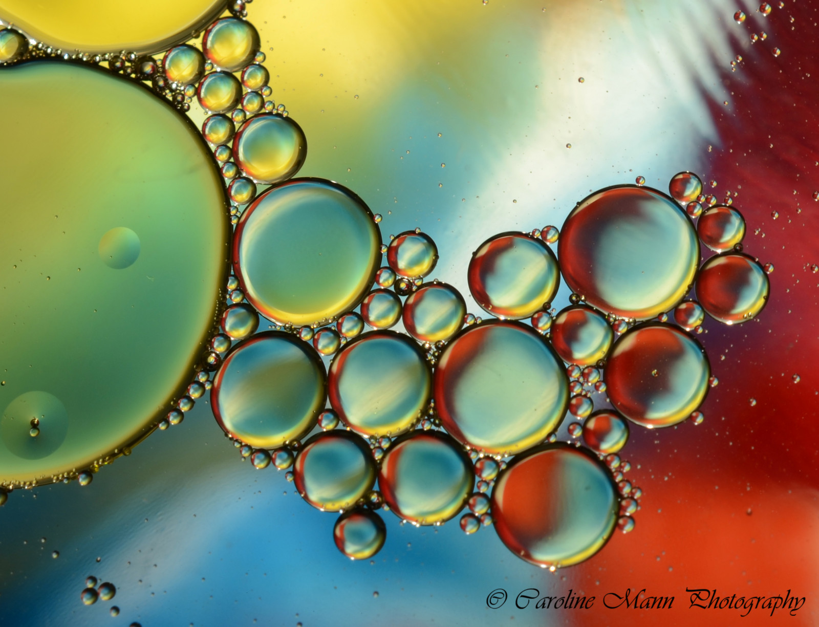 Wallpaper water, symmetry, bubbles, circle, dew, drop, colours, oil