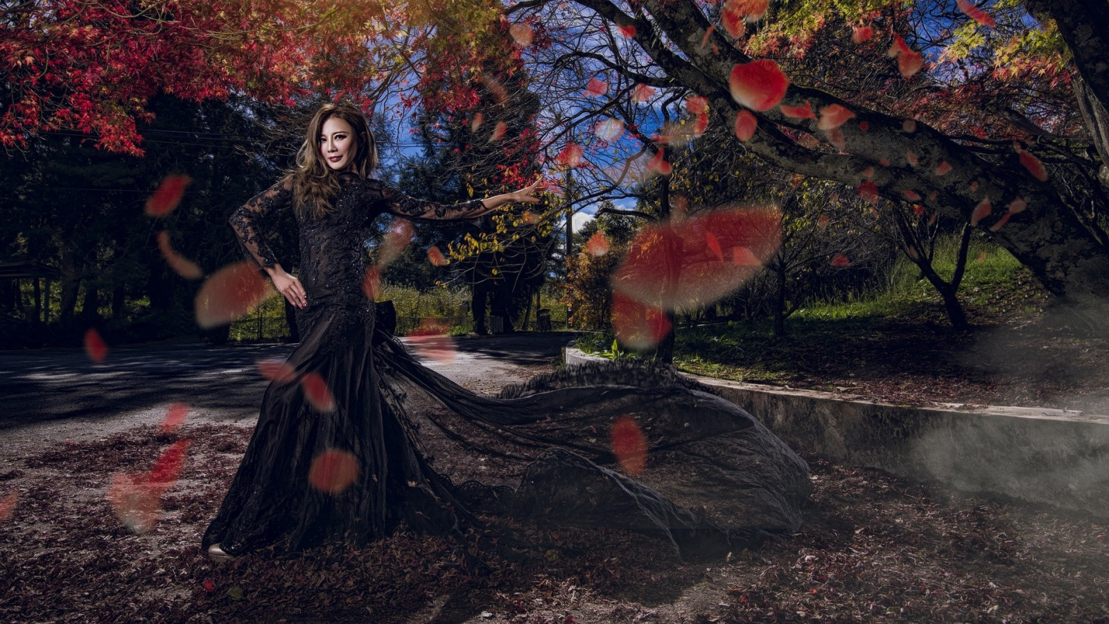 les, listy, ženy, model, černé šaty, asijský, mytologie, strom, podzim, květ, sezóna, Snímek obrazovky, dřevina