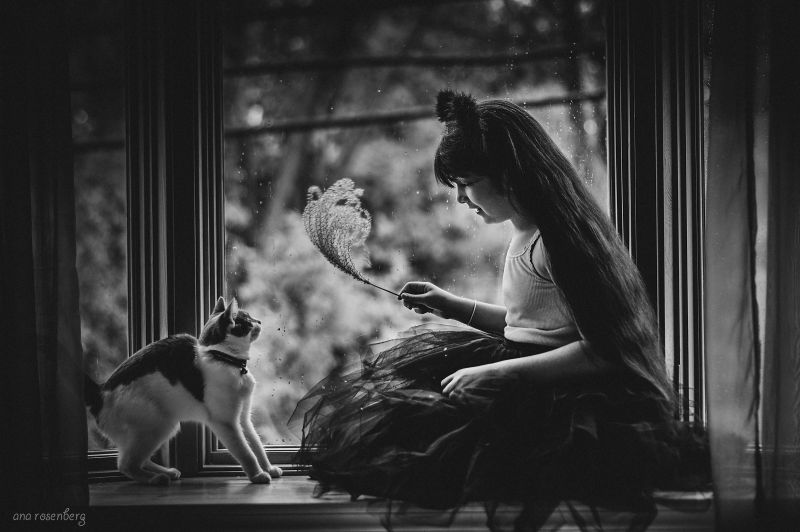 nero, fotografia, bianco e nero, mammifero, vertebrato, oscurità