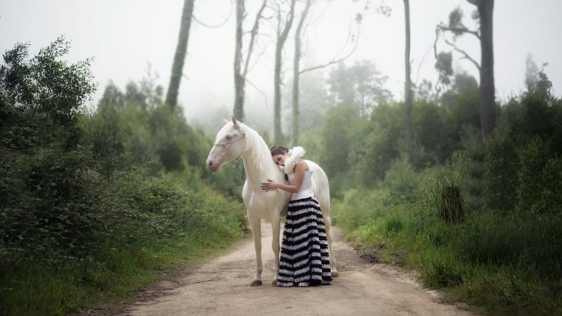 cavallo, animali, mammiferi, donne, modello, alberi cavallo, animali, mammiferi, donne, modello, alberi