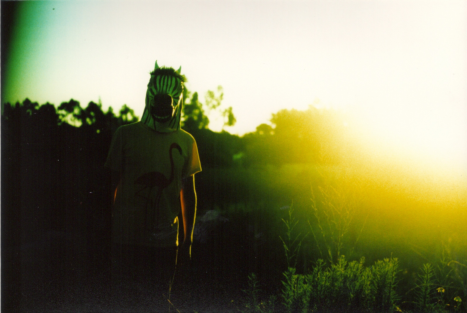 Chile, film, analogový, Kánon, přejít, fotoaparát značky kodak, el, a1, analog, laguna, proces, elitechrome, canona1, Peral, Pelicula, ebx, Analog