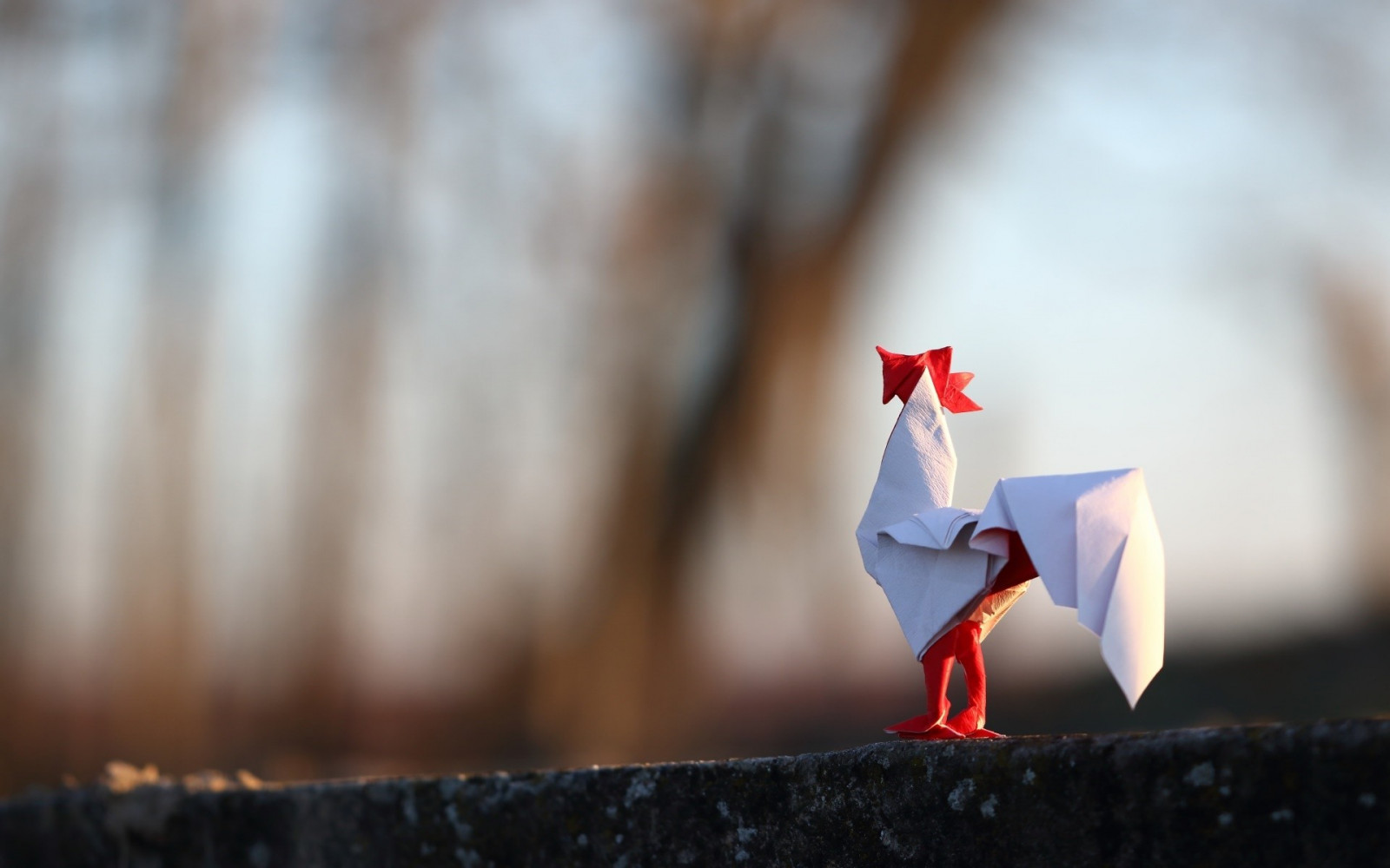 햇빛, 빨간, 겨울, 푸른, 아침, 종이 접기, 종이, 빛, 색깔, 가을, 꽃, 시즌, 닫다, 매크로 사진