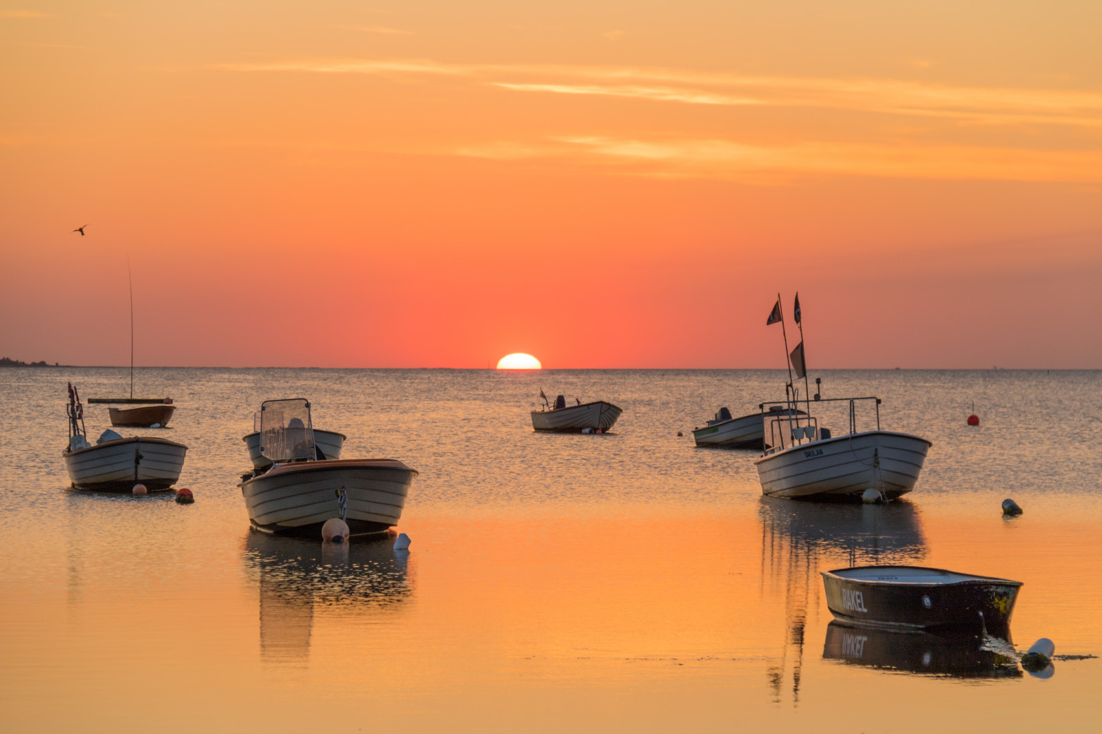 barca, tramonto, mare, baia, acqua, puntellare, cielo, veicolo, spiaggia, Alba, sera, mattina, costa, orizzonte, crepuscolo, Sol, nube, alba, oceano, ora d'oro, himmel, solnedg ng, vatten, fiskehoddorna, HAV, b t, moln, h llviken, modello canoneos760d exif, geocountry, Marca fotocamera Canon, Geocity, modello di fotocamera canoneos760d, geostate, geolocalizzazione, Lente exif efs18200mmf3556is, apertura exif 56, exif fare canon, exif ISOSPEED 125, exif focalLength 100 millimetri, gyllenetimmen, ultimi bagliori