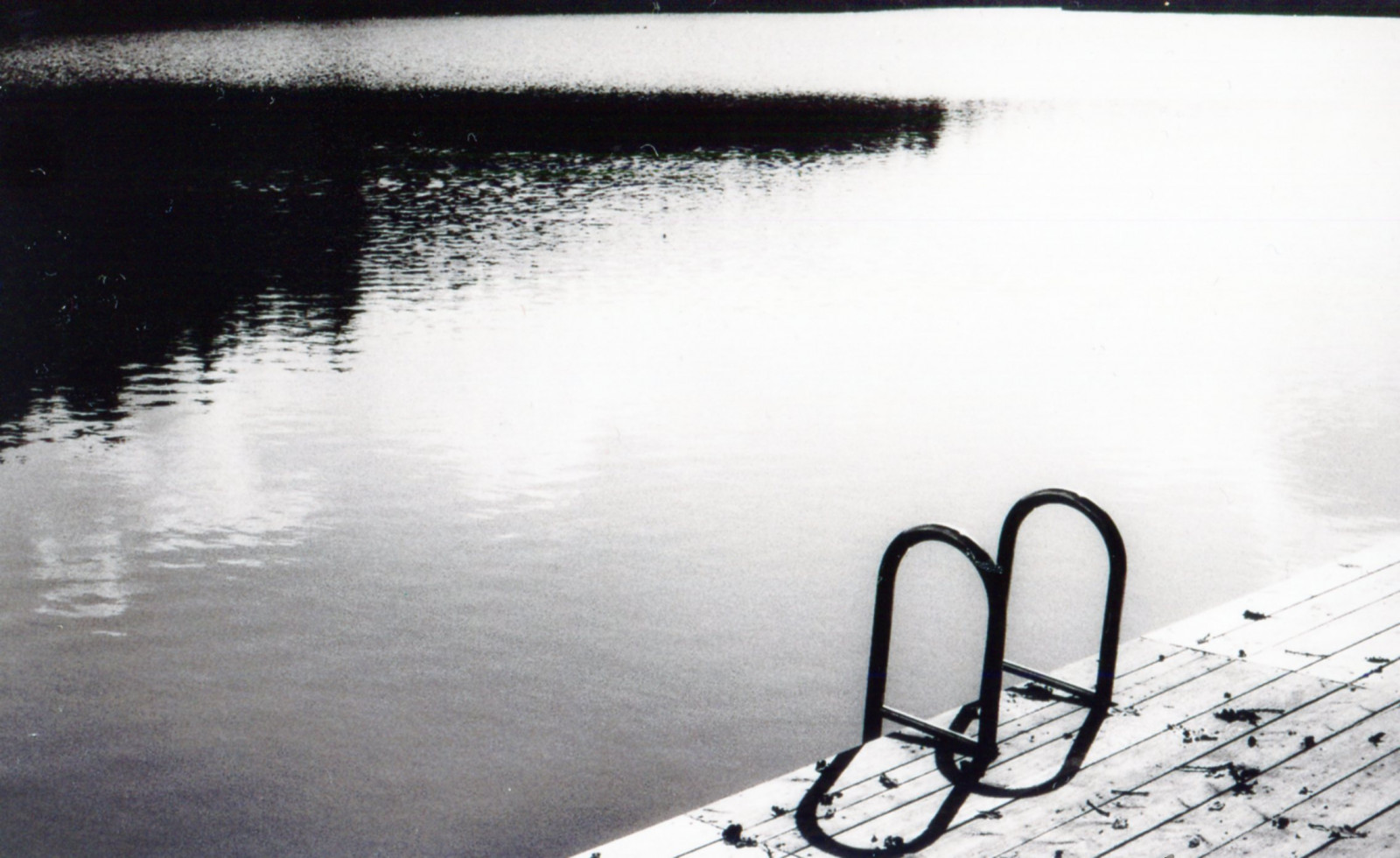 træ, efterår, lys, bw, Sol, hvid, sø, sort, KUNST, film, natur, vand, pool, monokrom, analog, 35MM, München, munchen, fotografering, ISO100, se, licht, Nikon, wasser, fotografie, Herbst, natur, structure, struktur, iso, svømmepøl, SW, gelænder, monochrom, fe, rækværk, Agfa, 35, sonne, wald, weiss, nikonfe, aPX, schwarz, muenchen, gel nder, filmphotography, Becken, Schwimmbecken, filmfotografie, filmfotgrafie