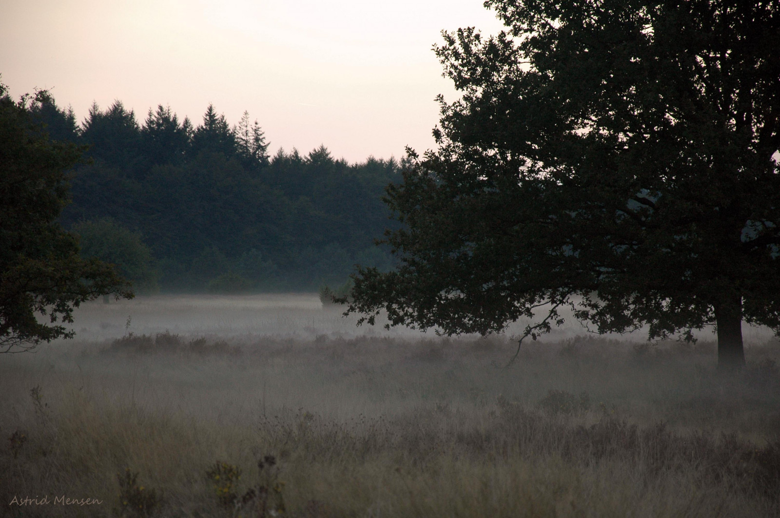 slunečnímu záření, krajina, les, západ slunce, Příroda, sníh, zima, svítání, večer, ráno, mlha, řeka, soumrak, 2014, strom, podzim, mlha, počasí, svítání, sezóna, drenthe, Zomer, venkov, místo výskytu, atmosférický jev, dřevina, nevel, Avond, Odoorn, Exloo, molenveld