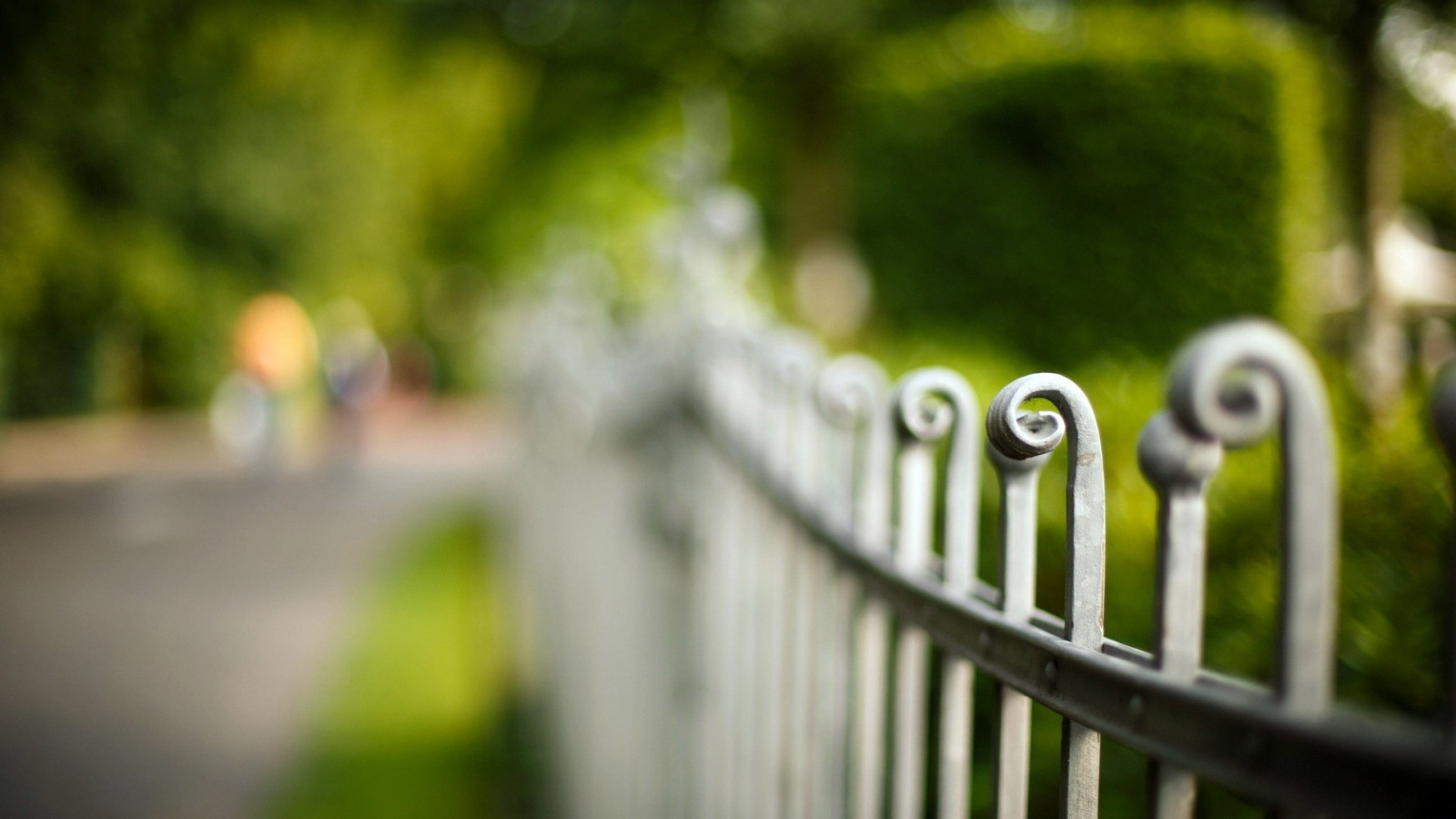 światło słoneczne, głębia pola, trawa, fotografia, Zielony, żółty, ranek, płot, Bokeh, kolor, liść, trawnik