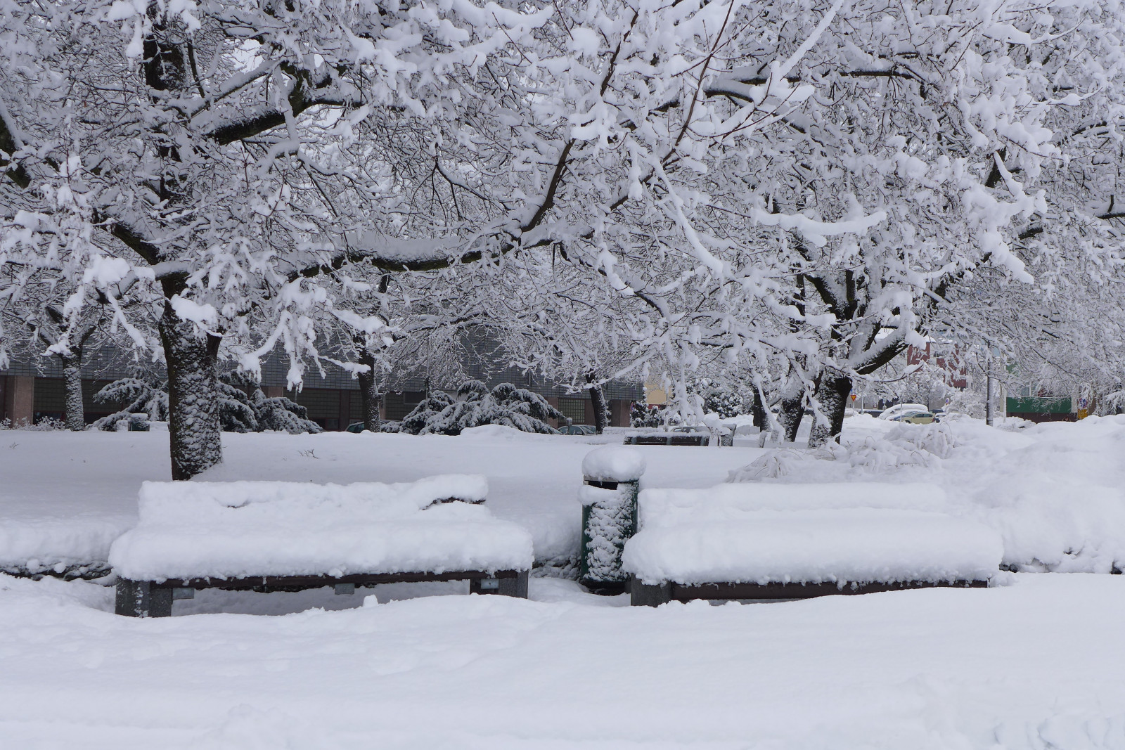 แนวนอน, หิมะ, ฤดูหนาว, สาขา, น้ำแข็ง, น้ำค้างแข็ง, ม้านั่ง, ต้นสน, การแช่แข็ง, ต้นไม้, พายุหิมะ, พายุฤดูหนาว, ฝนและหิมะผสม, Talvi, คูโวล่า, penkki, ความสว่าง