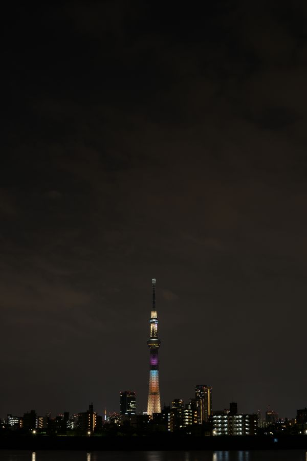 Japan,city,cityscape,night,architecture,skyline