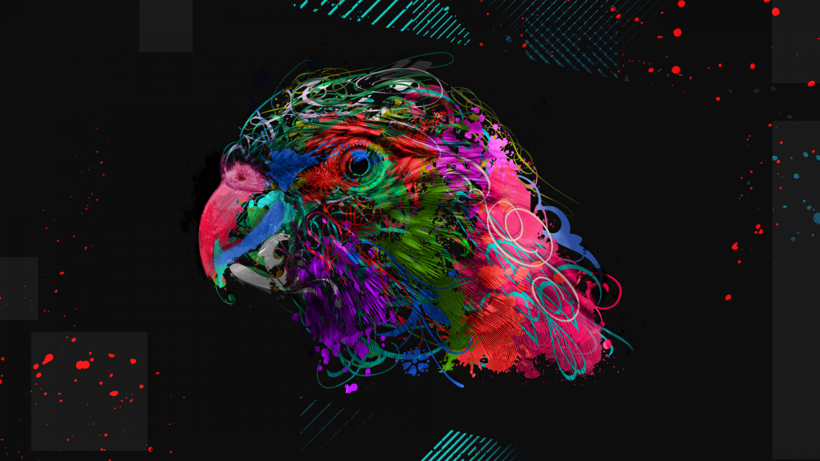 Wallpaper animals, 3D Abstract, digital art, parrot 1920x1080