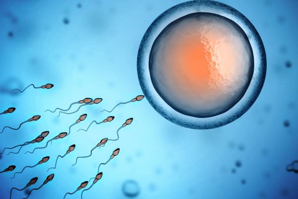 1sperm,abstract,abstraction,bokeh,cell,1800x1200 px