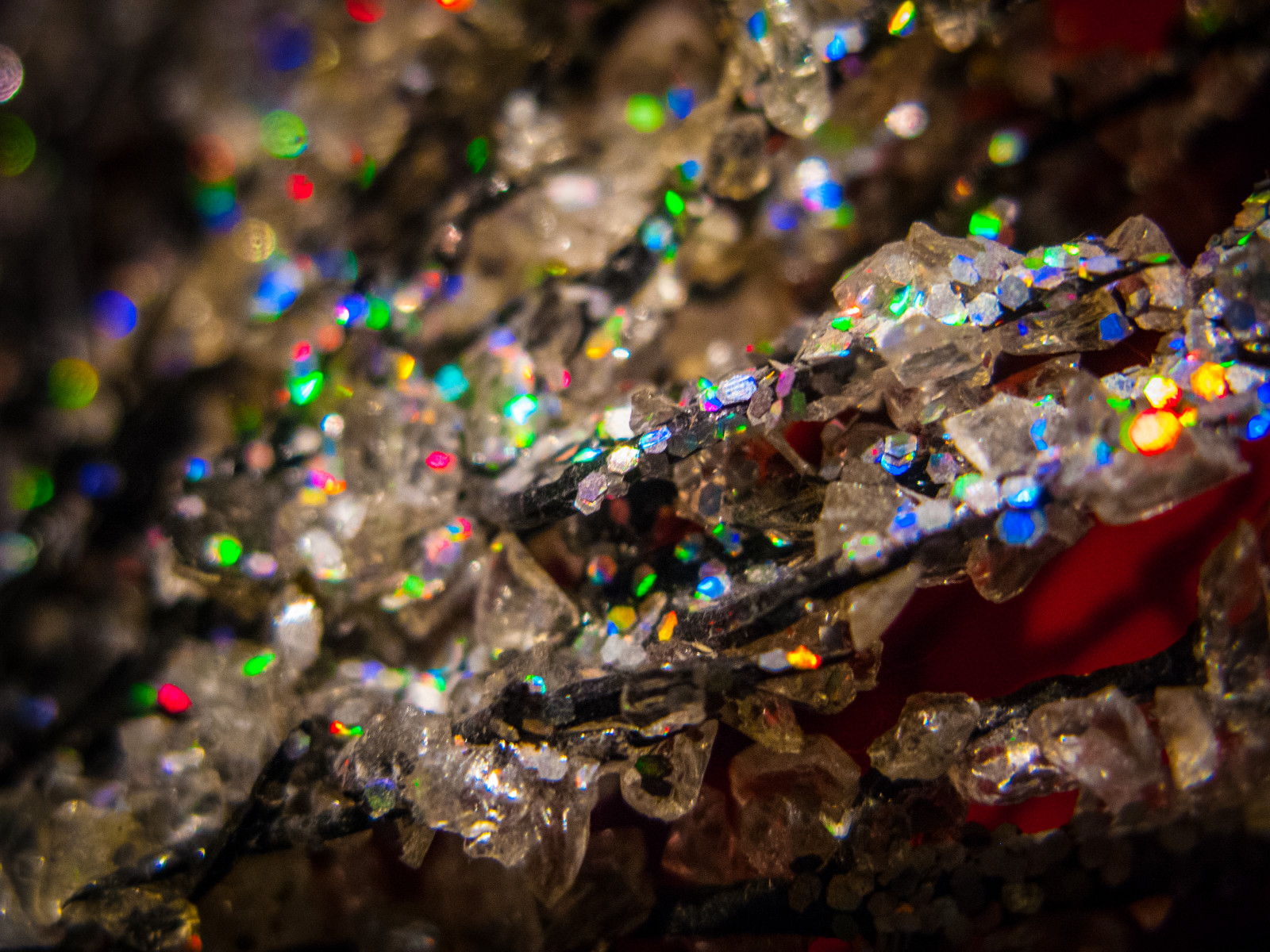 Barcelona, Kalifornie, ulice, město, Spojené království, výlet, cestovat, modrý, Přátelé, světlo, západ slunce, Červené, letní, městský, Černý a bílý, tělesné, Itálie, hudba, jídlo, dítě, slunce, bílý, newyork, Kanada, Černá, Francie, barva, strom, Berlín, zelená, pták, UMĚNÍ, podzim, pláž, auto, móda, ptactvo, žlutý, Japonsko, kámen, Diamanty, Kánon, Německo, zahrada, světla, Tokio, licht, Fotbal, koncert, přítel, Asie, Evropa, lesk, jasný, kameny, žít, kapela, banka, tečka, silná rána, Bulharsko, tečky, sval, 2014, Birhday, Aiwan, Exas, Krystalů, G9, 200faves, Hailand, 300faves, superaplus, Instagram, Instagramaoo