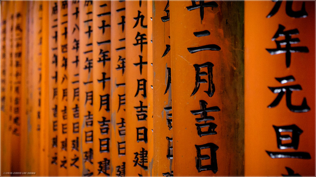 Japan, tempel, gammel, arkitektur, Asien, væg, regn, træ, gul, historie, orange, torii, Indretning, helligdom, porte, Kyoto, Jp, KUNST, farve, rejse, form, design, linje, fujifilmxt10, chrislueshing, fujinonxf1855mmf284, nummer, moderne kunst, skrifttype, ky Toshi, ky tofu