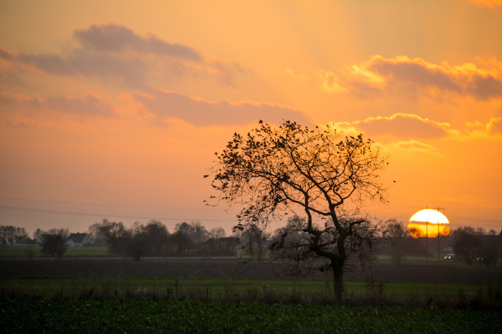 slunečnímu záření, krajina, západ slunce, Příroda, nebe, pole, svítání, večer, ráno, slunce, horizont, soumrak, mrak, strom, květ, svítání, rostlina, nebe, solnedg ng, tr d, venkov, moln, landsbygd, s dersl tt, landskap, exif modelu canoneos760d, geocountry, Kamera aby kánon, geocity, Model fotoaparátu canoneos760d, geostate, geolocation, EXIF čočka efs18200mmf3556is, EXIF otvor 56, exif focallength 200mm, exif aby kánon, EXIF isospeed 320, atmosférický jev, odlesk, červená obloha v dopoledních hodinách