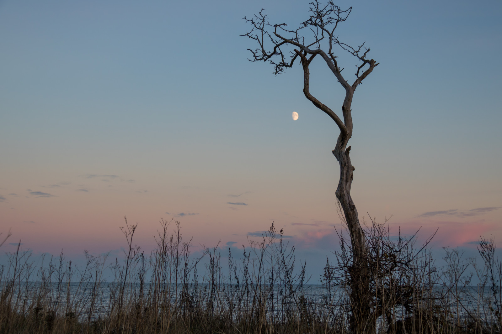 slunečnímu záření, krajina, západ slunce, moře, kopec, Příroda, odraz, tráva, nebe, zima, větev, svítání, Měsíc, večer, ráno, mlha, vítr, horizont, divočina, soumrak, mokřadní, mrak, strom, hora, květ, svítání, rostlina, tr d, hav, m ne, prérie, venkov, přírodní prostředí, atmosférický jev, dřevina, tráva rodina, savana